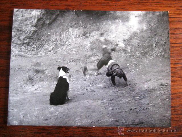 Cine: FOTO FIJA. CINE.VIVA LA REPUBLICA.. .