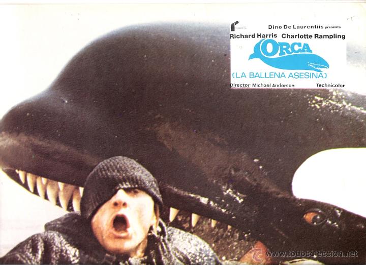 El Juego De La Ballena Asesina
