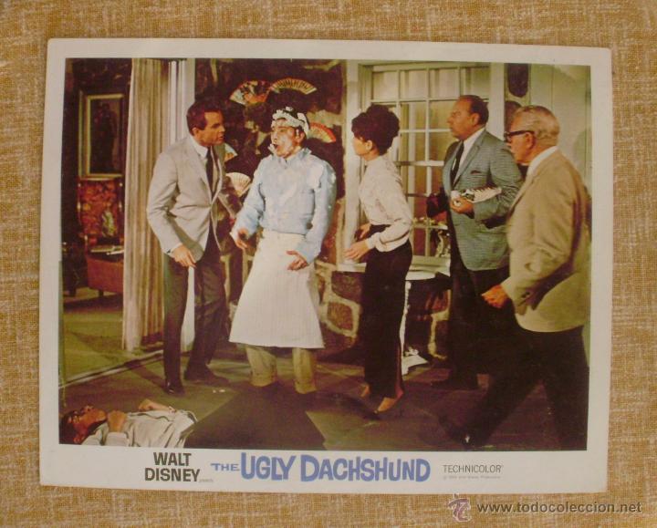 Cinema: Lobby Card de la pel&iacute;cula The Ugly Dachshund, a&ntilde;o 1965, Technicolor, Walt Disney Productions