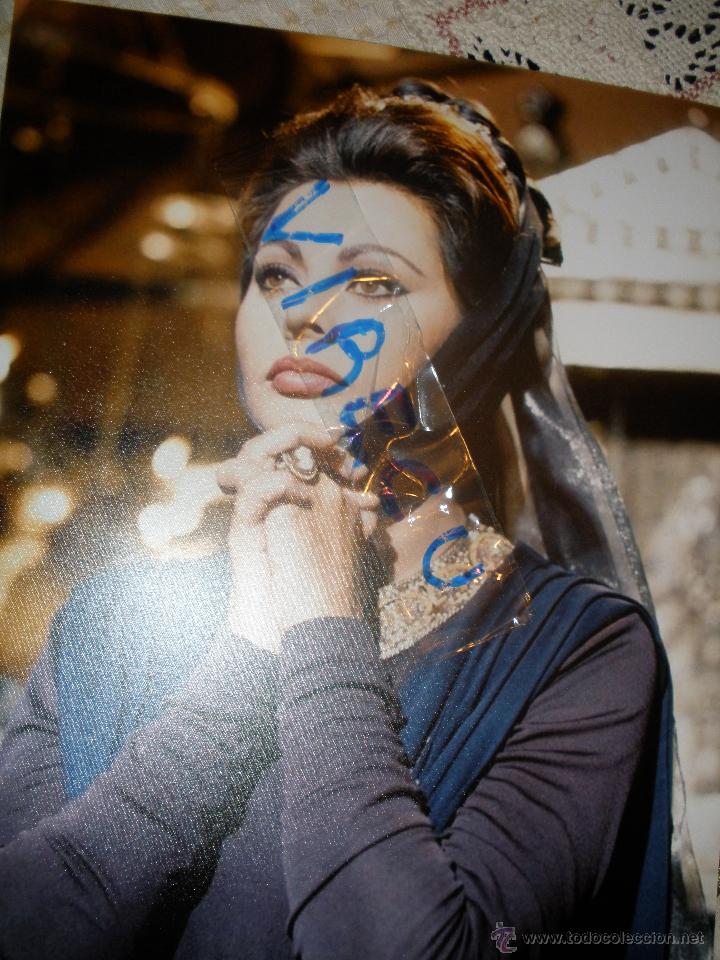 Cine: Foto Sofia Loren 24x30