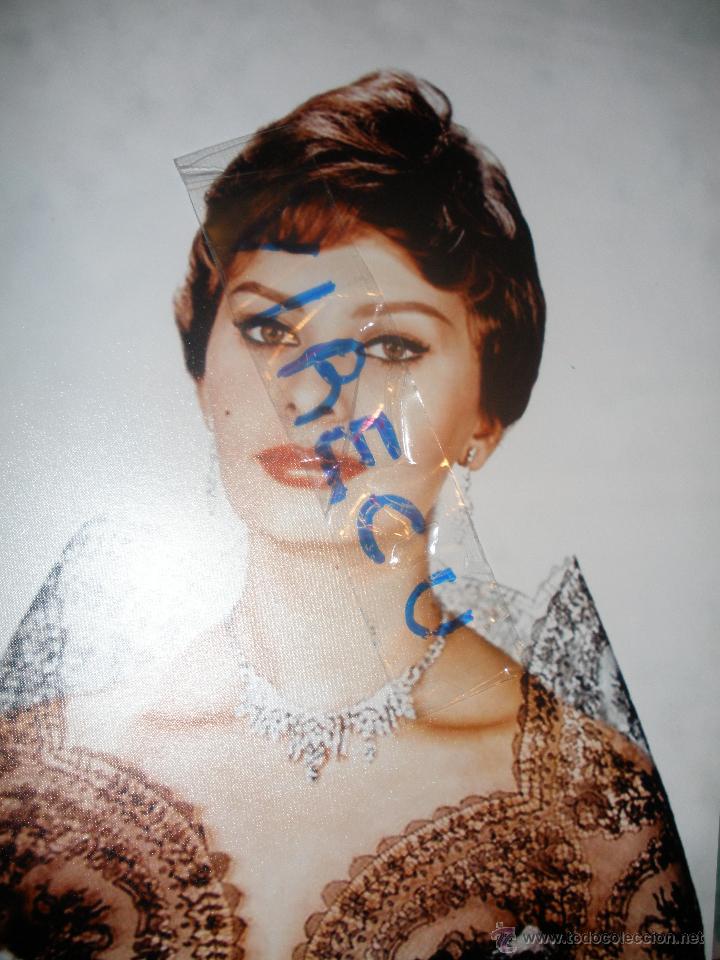 Cine: Foto Sofia Loren 24x30