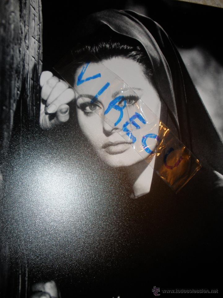 Cine: Foto Sofia Loren 24x30