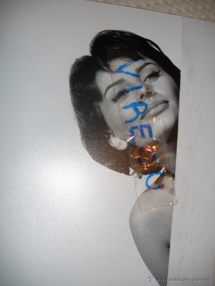 Cine: Foto Sofia Loren 24x30