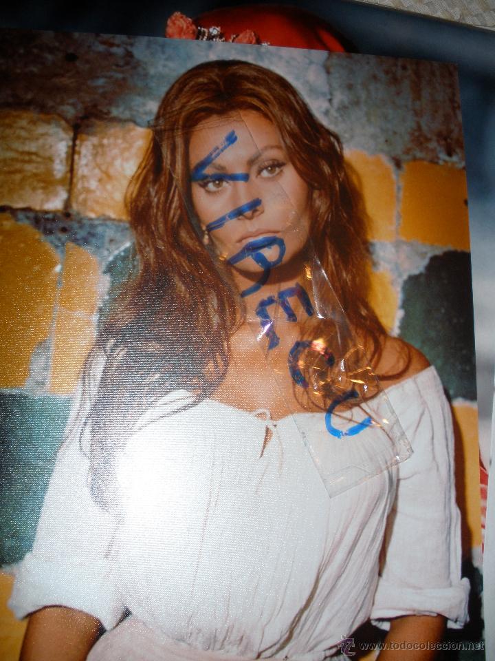 Cine: Foto Sofia Loren 20x25