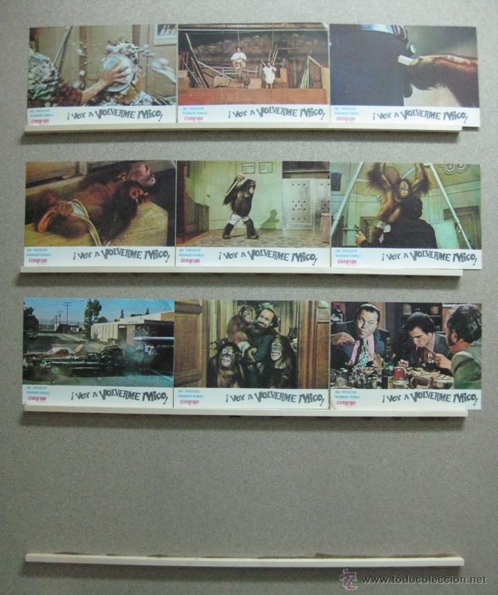Cine: SET 9 FOTOCROMOS - VOY A VOLVERME MICO