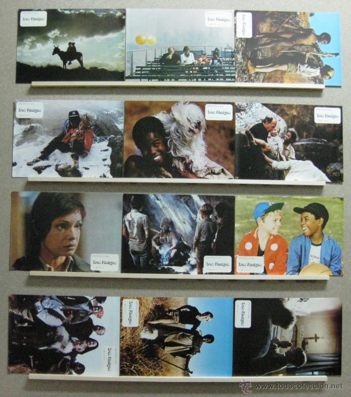 Cine: SET COMPLETO 12 FOTOCROMOS - DOS AMIGOS, A&Ntilde;O 1977