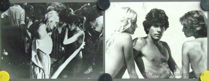 Cinema: F15042 UN AMOR DE VERANO PETER GALLAGHER DARYL HANNAH SET 2 FOTOS B/N ORIGINAL ESPA&Ntilde;OLAS