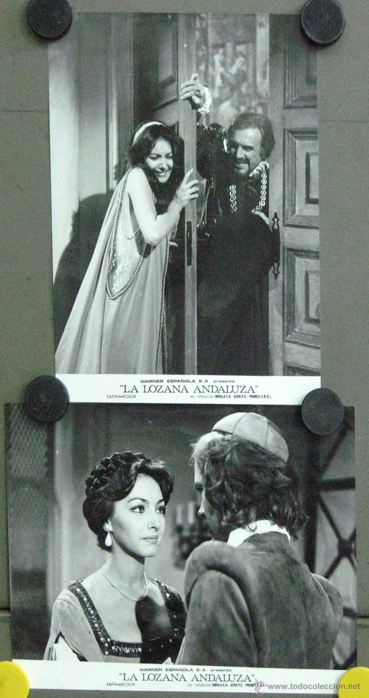 Cine: F15044 LA LOZANA ANDALUZA MARIA ROSARIA OMAGGIO SET 2 FOTOS B/N ORIGINAL ESPA&Ntilde;OLAS