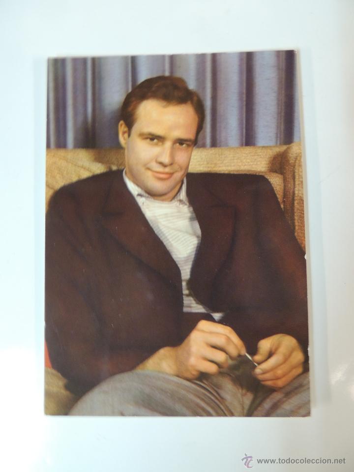 Cine: marlon brando - postal original color - rotalcolor n&ordm; 12  italia