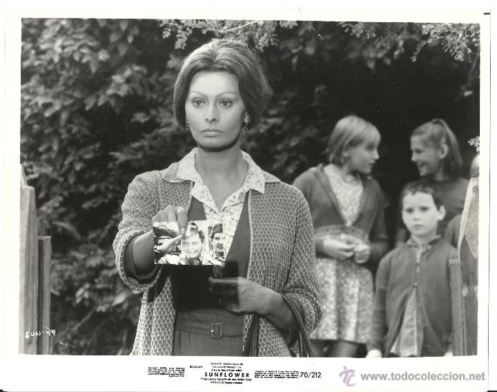 Cine: F28624D SOFIA LOREN LOS GIRASOLES FOTO B/N ORIGINAL AMERICANA