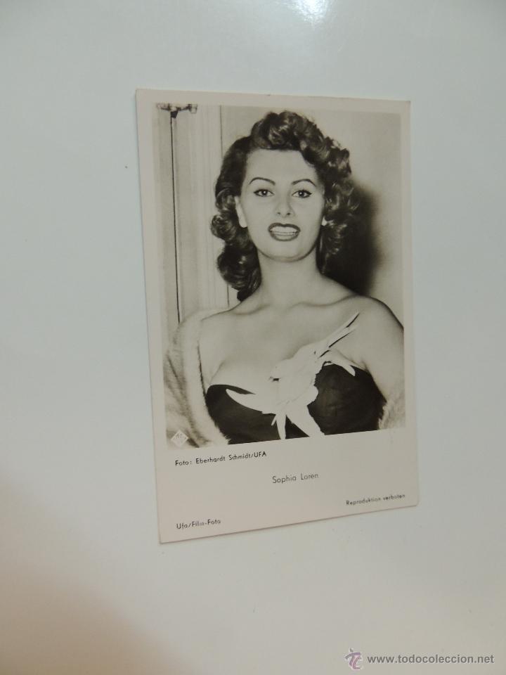 Cine: sofia sophia loren - postal b/n - ufa film postal n&ordm; fk 3359