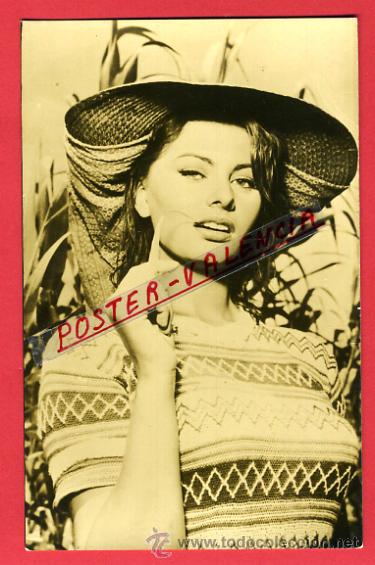 Cine: POSTAL ACTOR, ACTRIZ, SOFIA LOREN, P96964