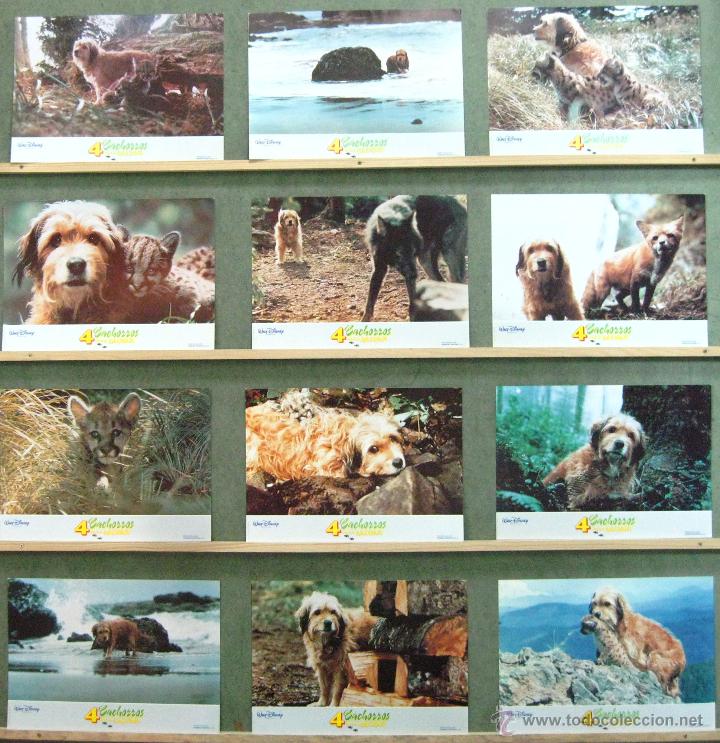 Cinema: VM40 4 CACHORROS PARA SALVAR BENJI SET COMPLETO 12 FOTOCROMOS ORIGINAL ESTRENO