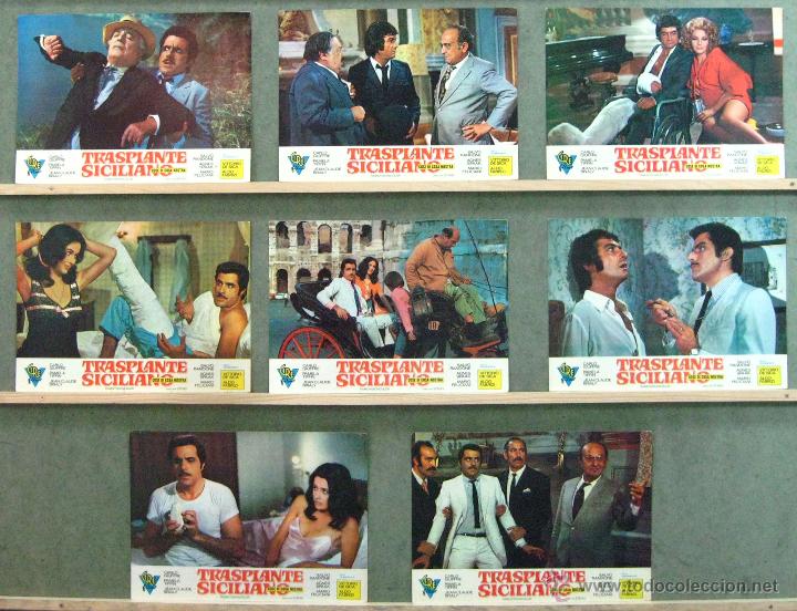 Cine: VM41 TRANSPLANTE SICILIANO STENO CARLO GIUFFRE SET 8 FOTOCROMOS ORIGINAL ESTRENO