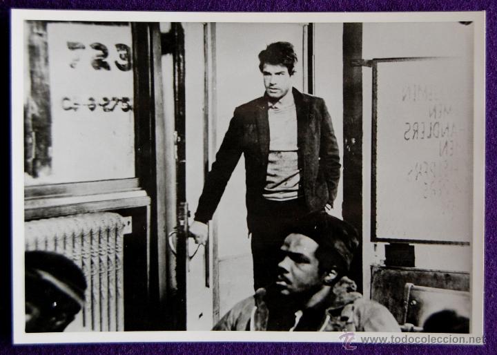 Cine: FOTO ORIGINAL DE LA PELICULA, ACOSADO (Warren Beatty, Alexandra Stewart...), POR LA PRODUCTORA. 1965