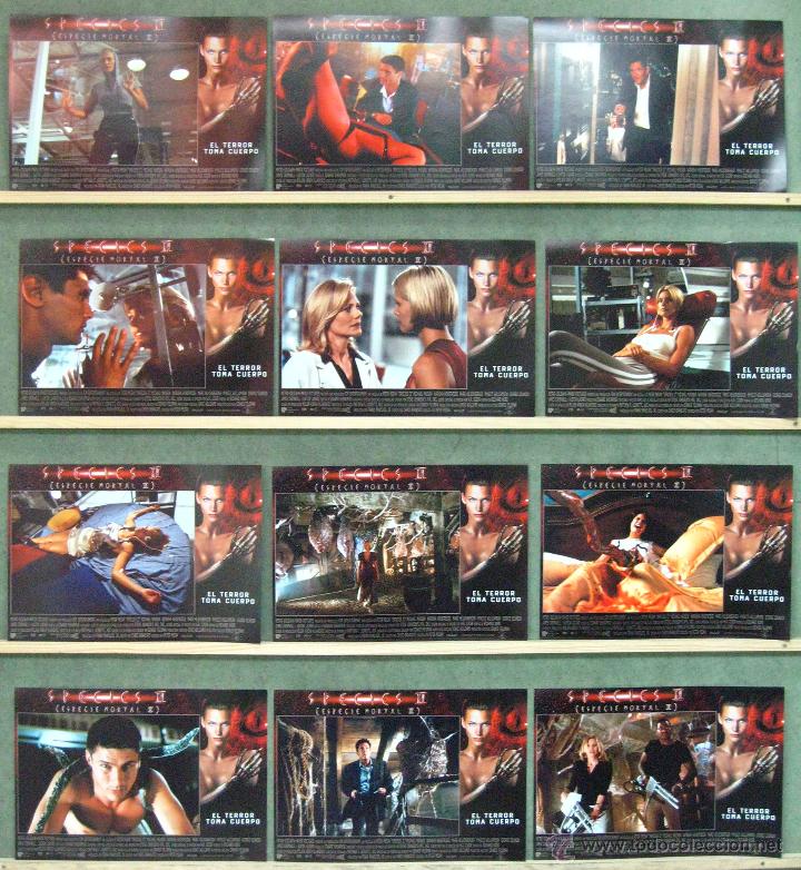 Cine: VQ46 SPECIES 2 MICHAEL MADSEN NATASHA HENSTRIDGE SET COMPLETO DE 12 FOTOCROMOS ORIGINAL ESTRENO