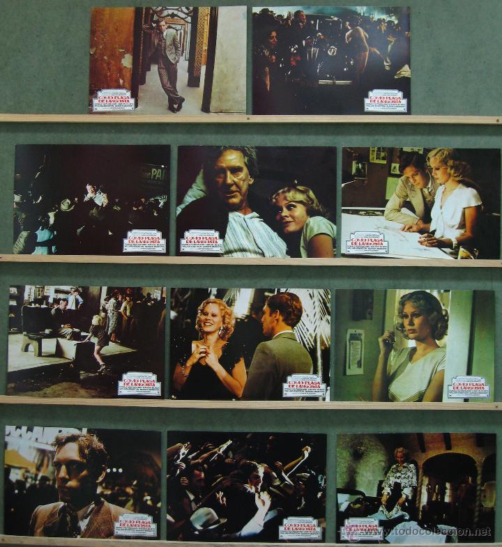 Cinema: WB17 COMO PLAGA DE LANGOSTA JOHN SCHLESINGER SET 11 FOTOCROMOS ORIGINAL ESTRENO