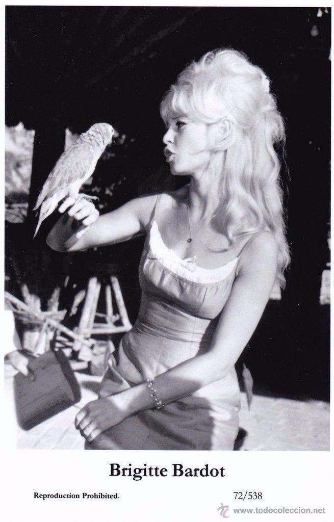 Cine: BRIGITTE BARDOT - Film star Pin Up - Publisher Swiftsure Postcards 2000