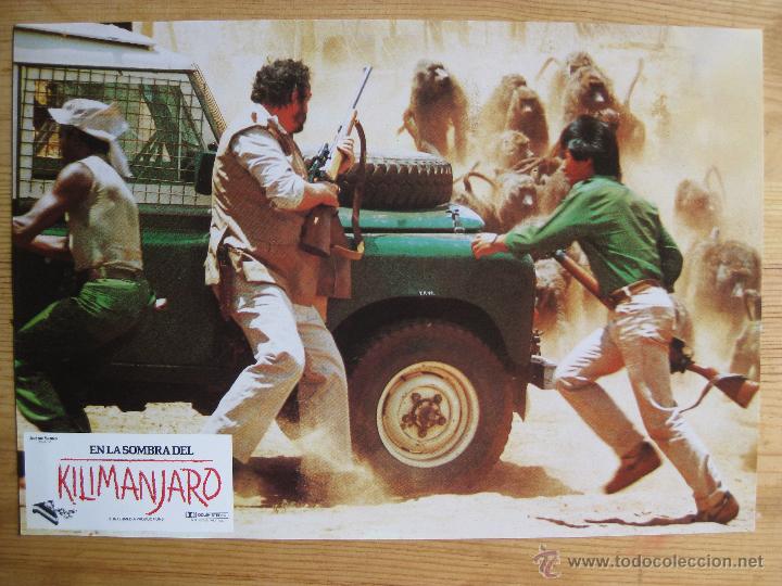 Cine: EN LA SOMBRA DEL KILIMANJARO - SERIE COMPLETA DE FOTOCROMOS - LOBBY CARDS-