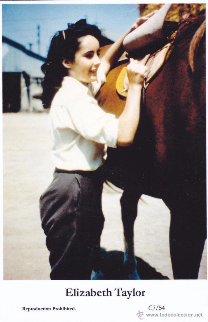 Cine: ELIZABETH TAYLOR - Film star Pin Up - Publisher Swiftsure Postcards 2000