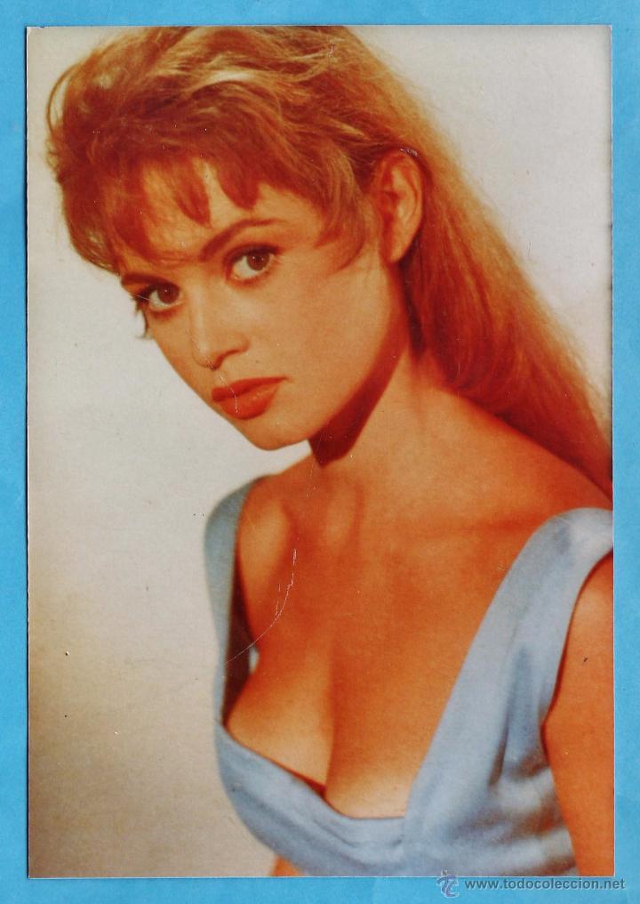 Cine: fotografia - brigitte bardot - sin mas datos - a&ntilde;os 60