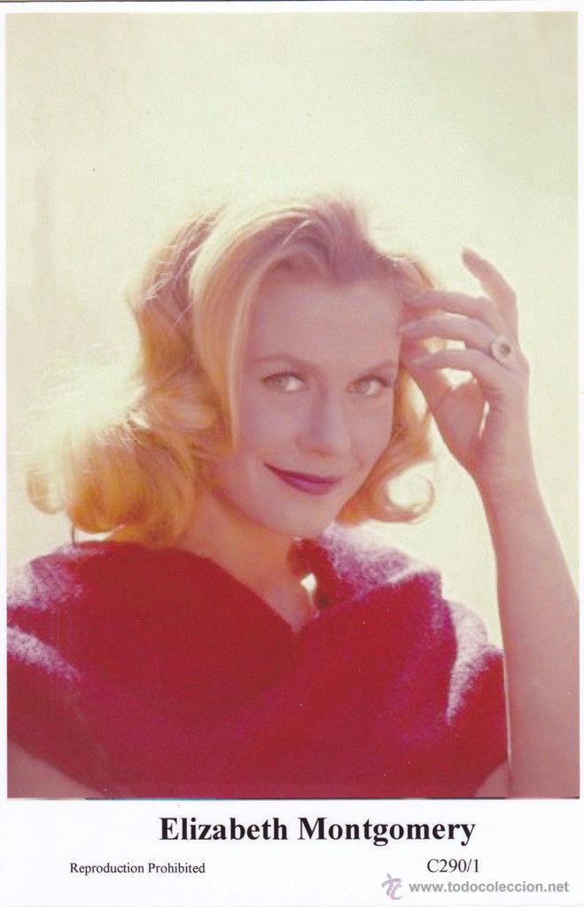 Cine: ELIZABETH MONTGOMERY - Film star Pin Up - Publisher Swiftsure Postcards 2000