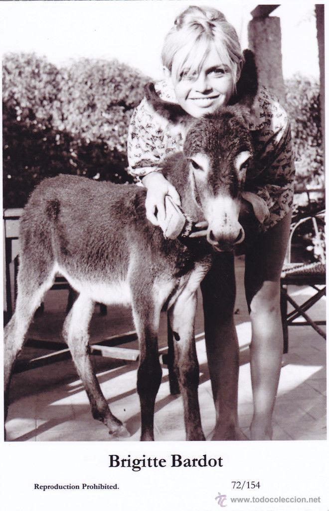 Cine: BRIGITTE BARDOT - Film star Pin Up - Publisher Swiftsure Postcards 2000