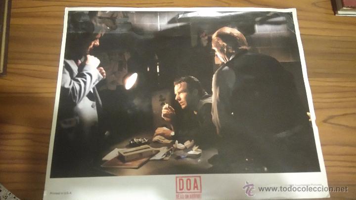 Cine: FOTOCROMO DE LA PELICULA D.O.A. DEAD ON ARRIVAL. M&Aacute;S GRANDE Y CUADRADO QUE LO NORMAL