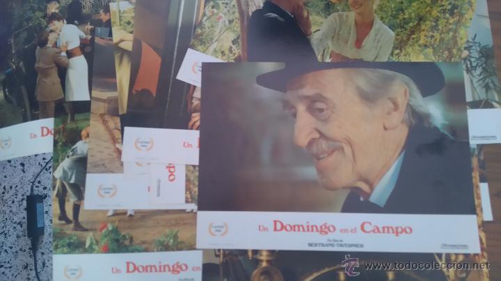 Cine: 12 FOTOCROMOS O FOTOGRAMAS DE UN DOMINGO EN EL CAMPO. PERFECTO ESTADO