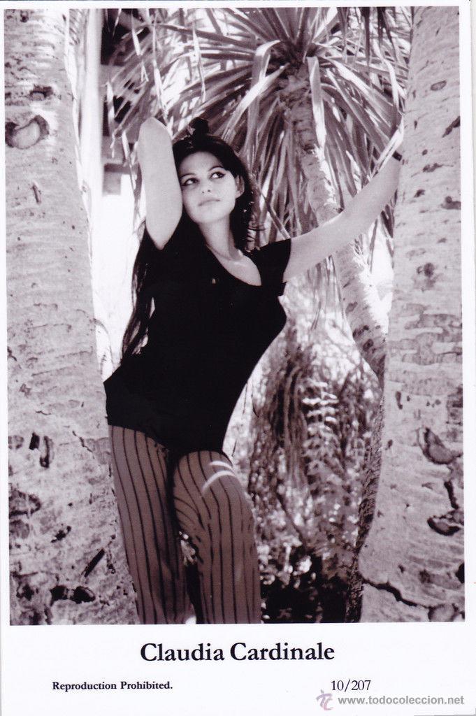 Cine: CLAUDIA CARDINALE - Film star Pin Up - Publisher Swiftsure Postcards 2000