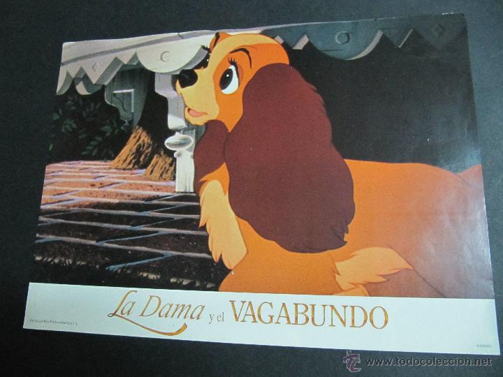 Cine: la dama y el vagabundo. fotocromo o fotograma. disney