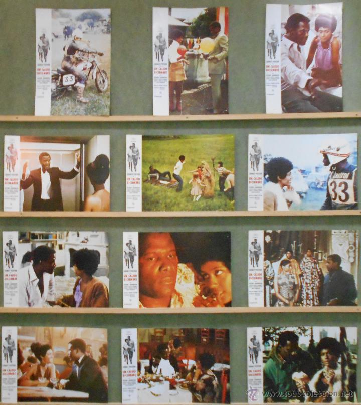 Cin&eacute;ma: WI35 UN CALIDO DICIEMBRE SIDNEY POITIER BLACK CAST BSA SET COMPLETO 12 FOTOCROMOS ORIGINAL ESTRENO