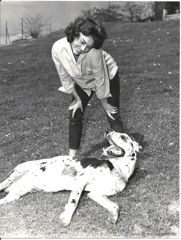Cinema: F19607 DIANA LORYS perro FOTO ORIGINAL B/N ESPA&Ntilde;OLA FOTOGRAFO WAGNER