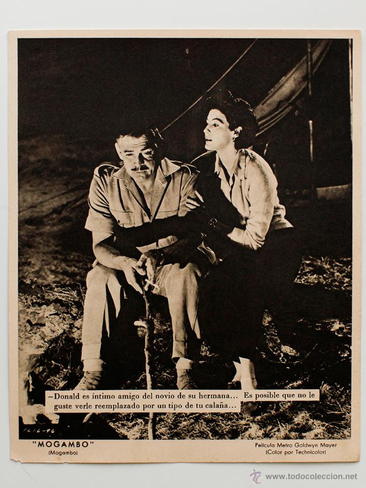Cine: MOGAMBO-  UNA PEL&Iacute;CULA DE METRO GOLDWYN MAYER- 19X23,5 cm
