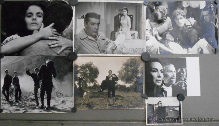 Cinema: F21822 ROVIRA BELETA DIRECTOR 7 FOTOS ORIGINALES ESPA&Ntilde;OLAS muy raras