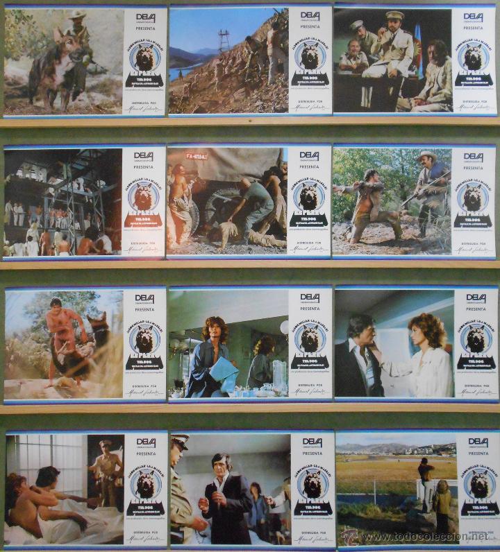 Cinema: WO91 EL PERRO ANTONIO ISASI ISASMENDI JASON MILLER SET COMPLETO 12 FOTOCROMOS ORIGINAL ESTRENO