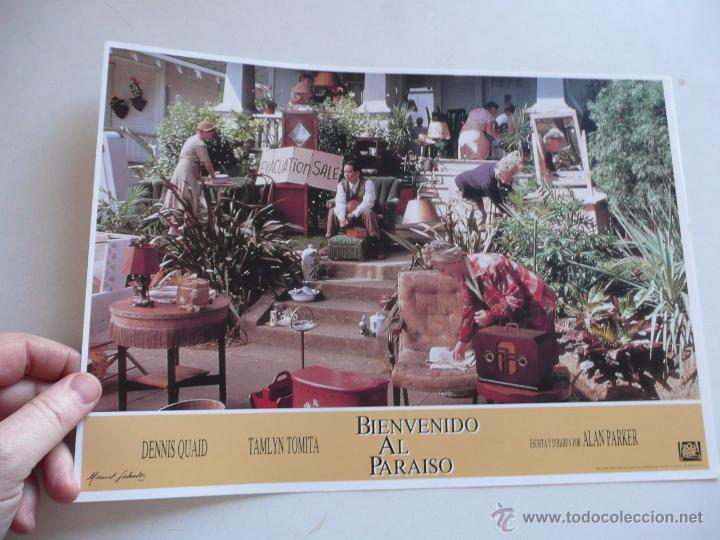 Cine: Bienvenido al para&iacute;so (Alan Parker, 1990) Set 12 fotocromos nuevos - Dennis Quaid, Tamlyn Tomita