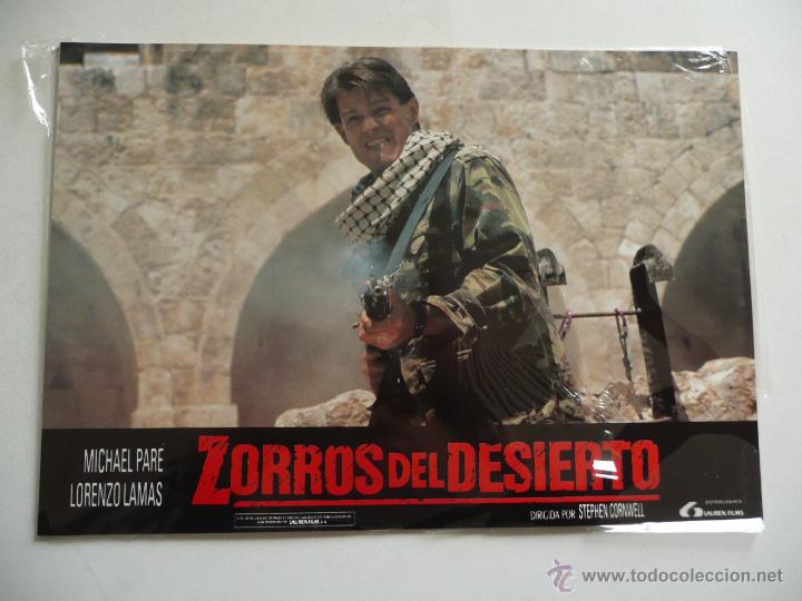 Cine: Zorros del desierto (Stephen Cornwell, 1991) 12 fotocromos nuevos - Michael Par&eacute;, Lorenzo Lamas
