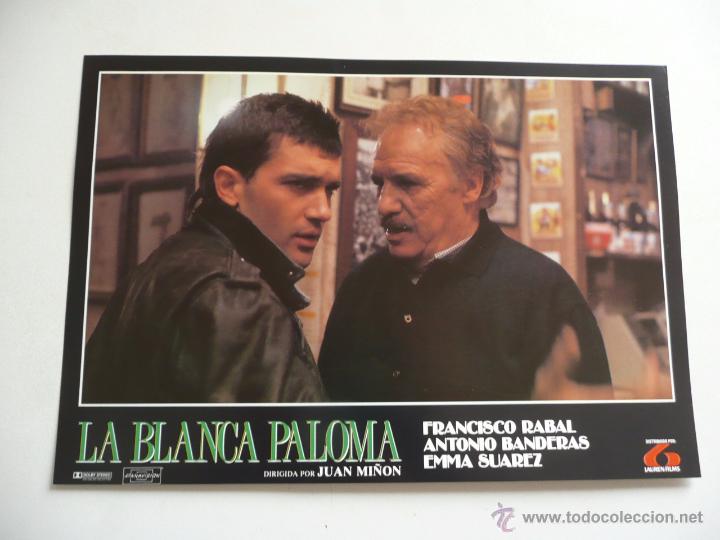 Cine: La blanca paloma (Juan Mi&ntilde;&oacute;n, 1989) 12 fotocromos nuevos - Antonio Banderas, Paco Rabal, Emma Su&aacute;rez