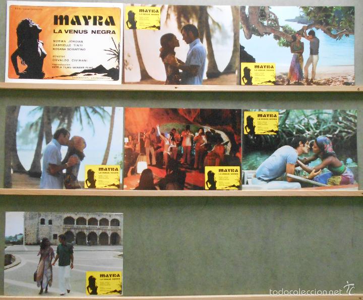 Cine: WU61 MAYRA LA VENUS NEGRA SEXPLOITATION NORMA JORDAN SET 7 FOTOCROMOS ORIGINAL ESTRENO