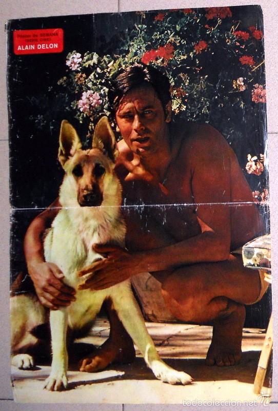 Cine: POSTER SERIE CINE. ALAIN DELON. ACTOR. REVISTA SEMANA.ANTIGUO VINTAGE