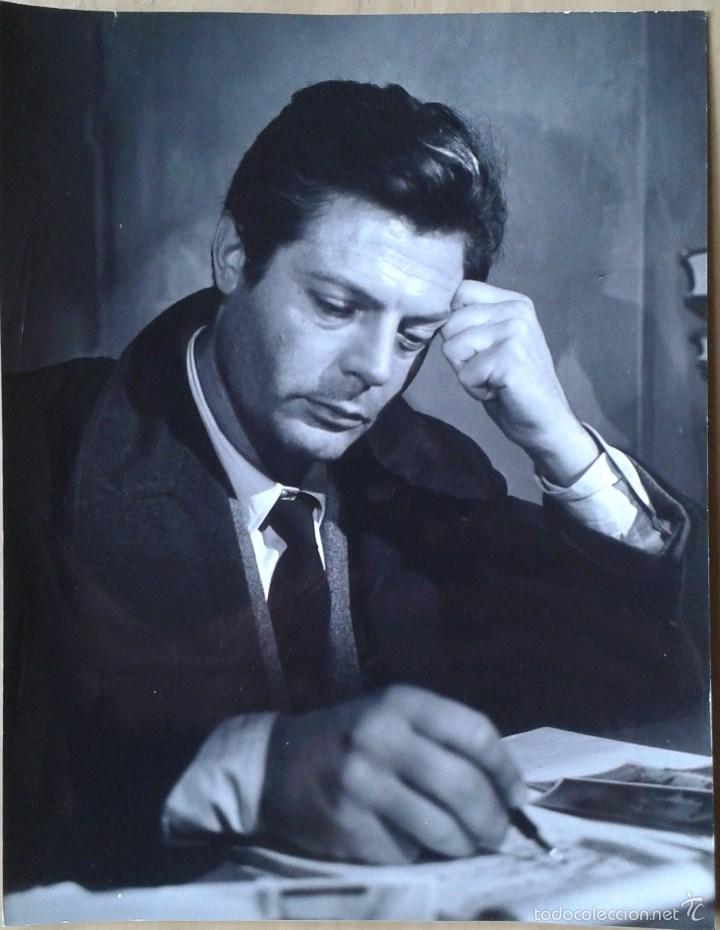 Cinema: MARCELLO MASTROIANNI. CR&Oacute;NICA FAMILIAR. FOTO ITALIANA 18X24.