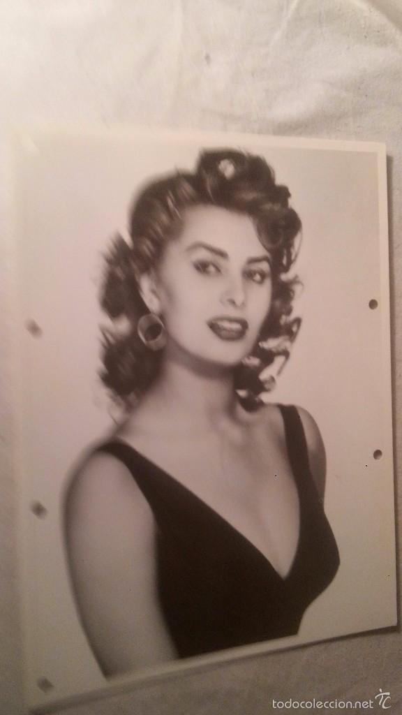 Cine: SOFIA LOREN FOTOGRAFIA Y FICHA TECNICA CON TODOS LOS DATOS DEL ACTOR ACTRIZ 20X26 CMTS