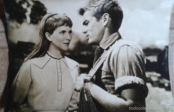 Cine: AL ESTE DEL ED&Eacute;N. FOTO 18X24. JAMES DEAN, JULIE HARRIS