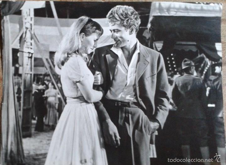 Cine: AL ESTE DEL ED&Eacute;N. FOTO 18X24. JAMES DEAN, JULIE HARRIS