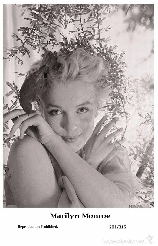 Cine: MARILYN MONROE - Film star Pin Up PHOTO POSTCARD- Publisher Swiftsure 2000 (201/315)