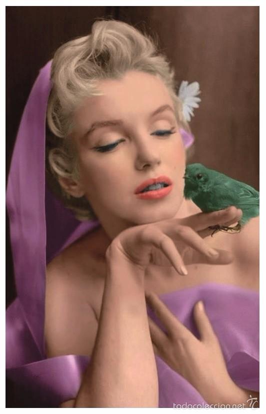 Cine: Sexy MARILYN MONROE actress PIN UP PHOTO postcard - Publisher RWP 2003 (34)