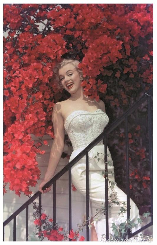 Cine: Sexy MARILYN MONROE actress PIN UP PHOTO postcard - Publisher RWP 2003 (46)