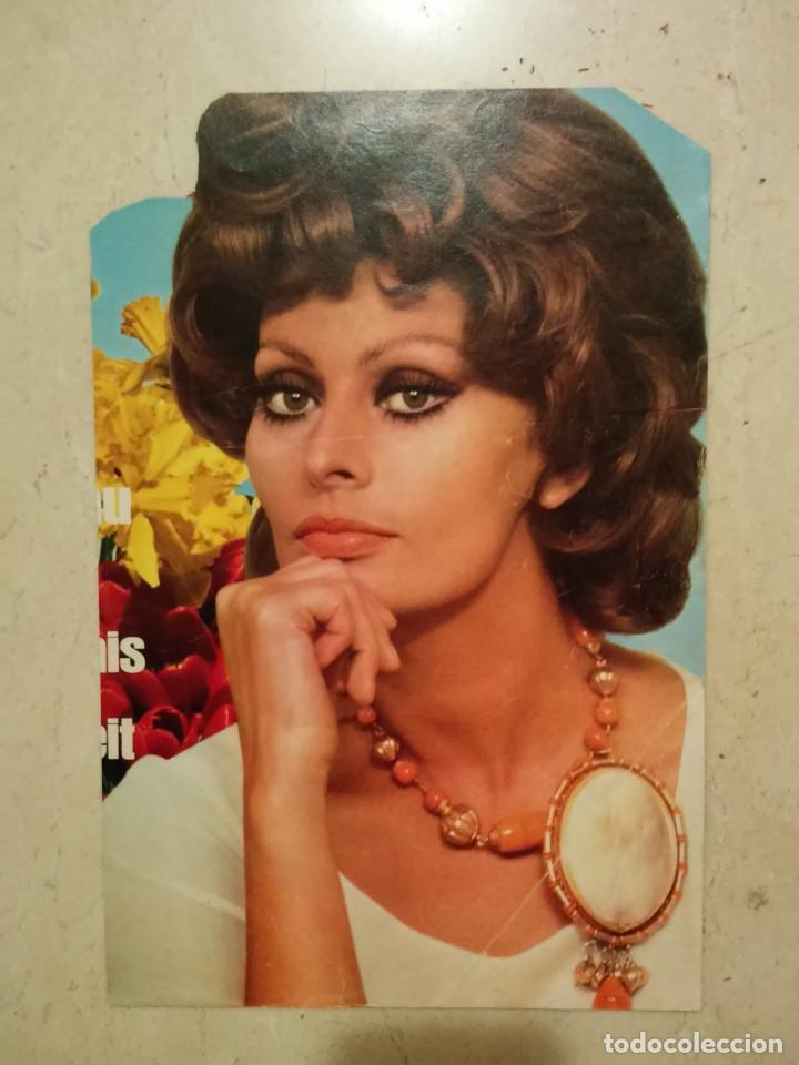 Cine: LAMINA ACARTONADA- A4 - SOFIA LOREN - SOPHIA LOREN