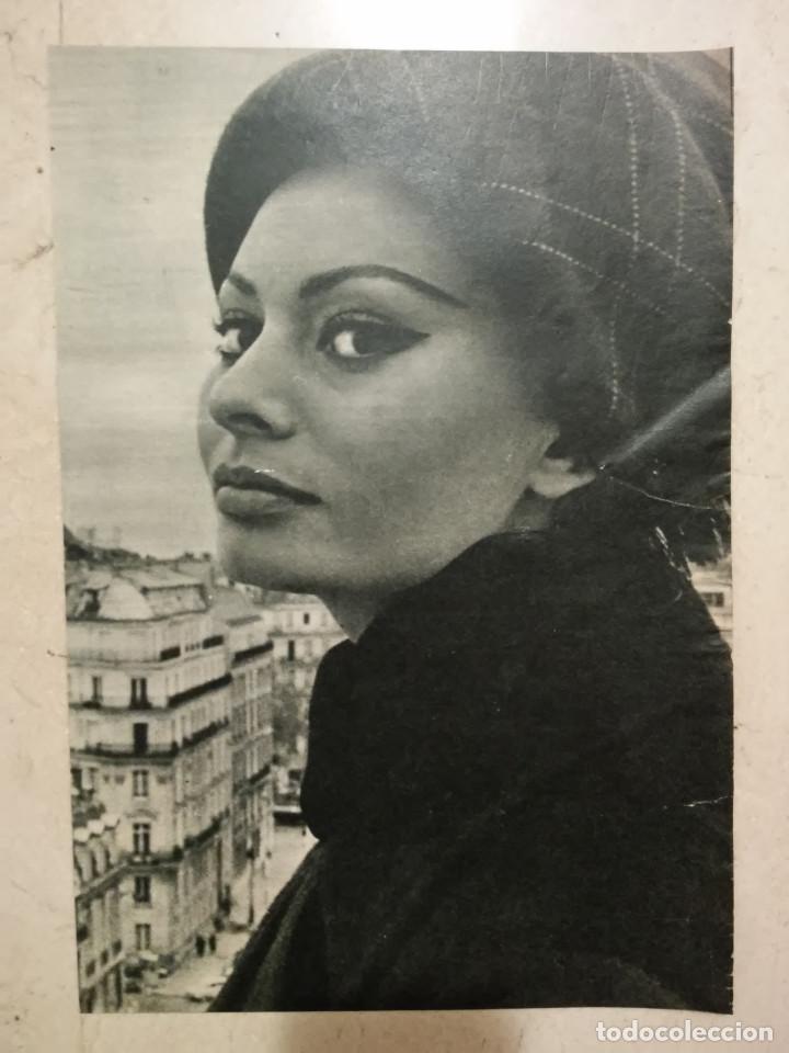 Cine: ANUNCIO EN PRENSA ORIGINAL - A4 - SOFIA LOREN - SOPHIA LOREN